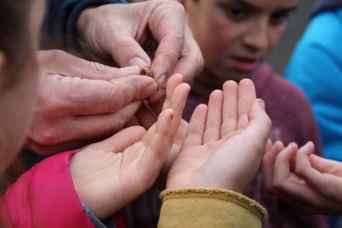 zuhaitz landatzea 2016 tolosa 10 1456503825635