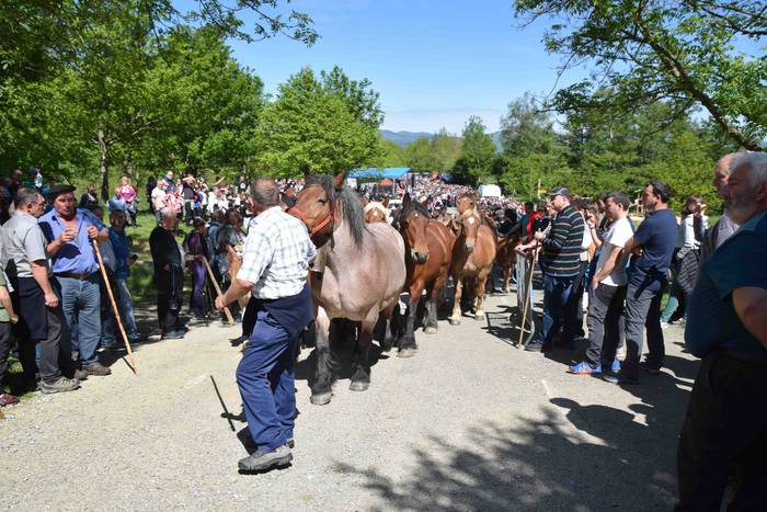Larrerati dituzte abereak Ar 50 1556716319494
