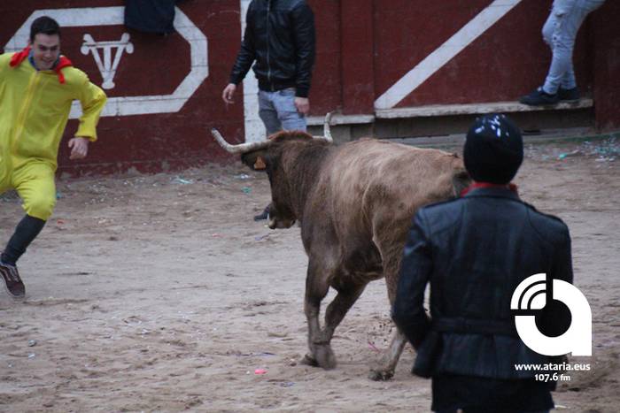 Zezenak adarrak okerrak ditu 5 1488277178127