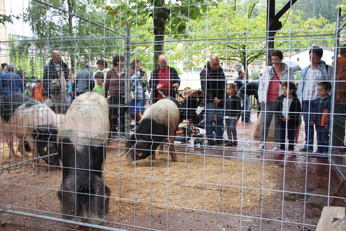 Ibarra, azoka eta piparra 68 1474219133471