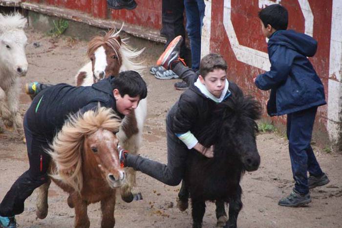 Inauterien agurra piñata iga 15 1518985015055