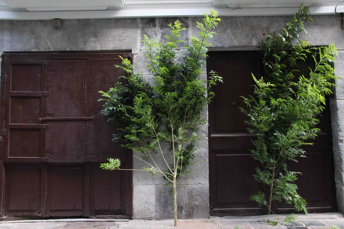 Berdez esnatzen da ekainaren 24a - 21