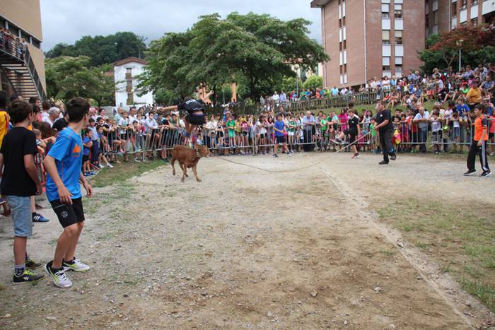 Zezenen aurretik, korrika 21 1469619680509