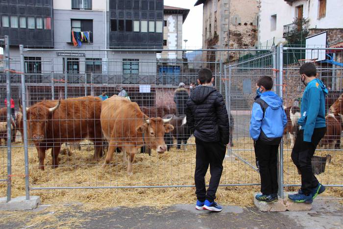 Berastegiko gaztarik onena A 4 1608397895438