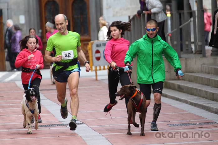 txakur krosa tolosa 2016 16 1458498836535