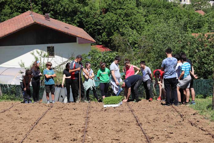 Erein dituzte lehen piperrak 4 1559303455950