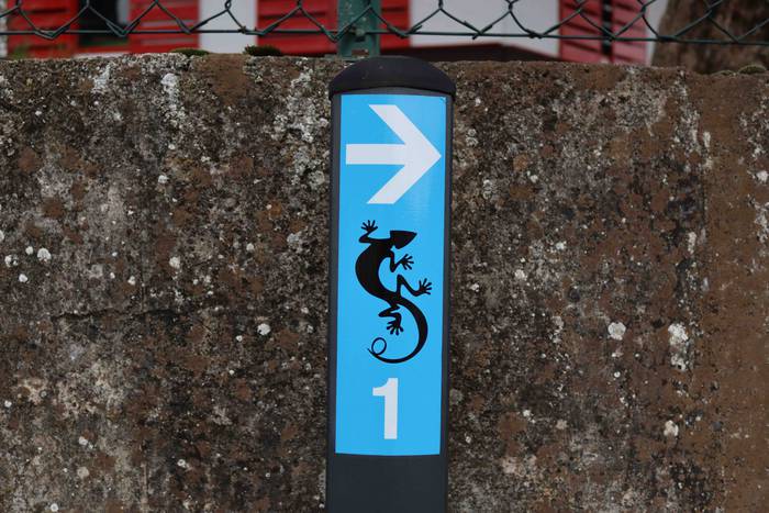 Muskerraren Bidea egin dute  10 1609069166764