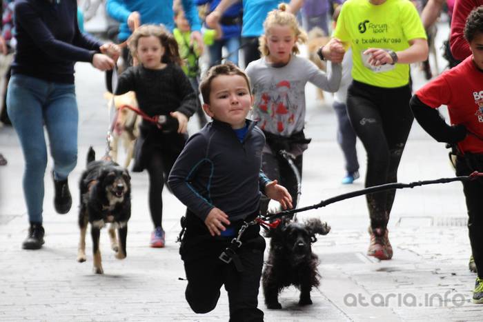 txakur krosa tolosa 2016 23 1458498839999