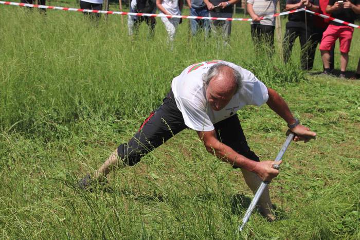 Erabaki dira Euskal Herriko  69 1532870910575