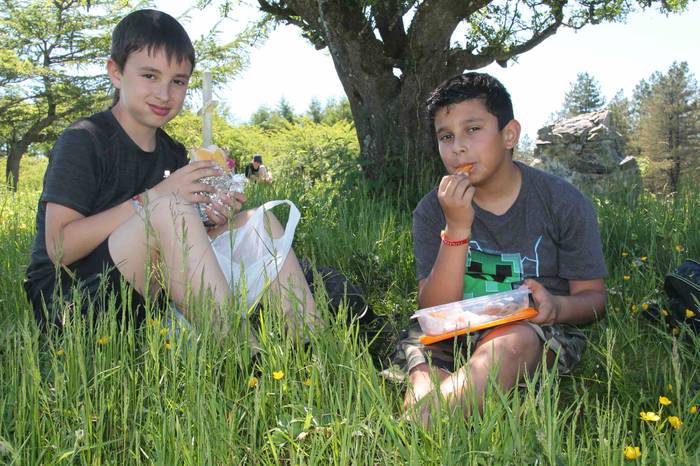 Fleming mendi irteera 16 1559657924717