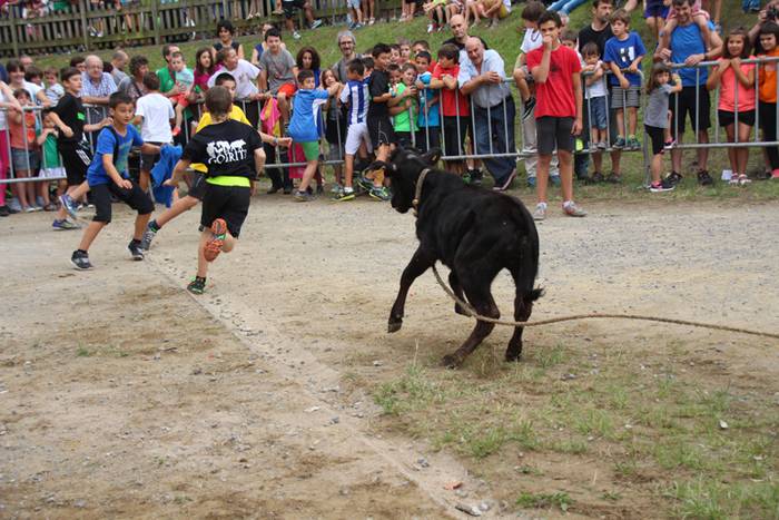 Zezenen aurretik, korrika 19 1469619657562