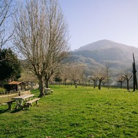 Biodibibertsitate Gunea