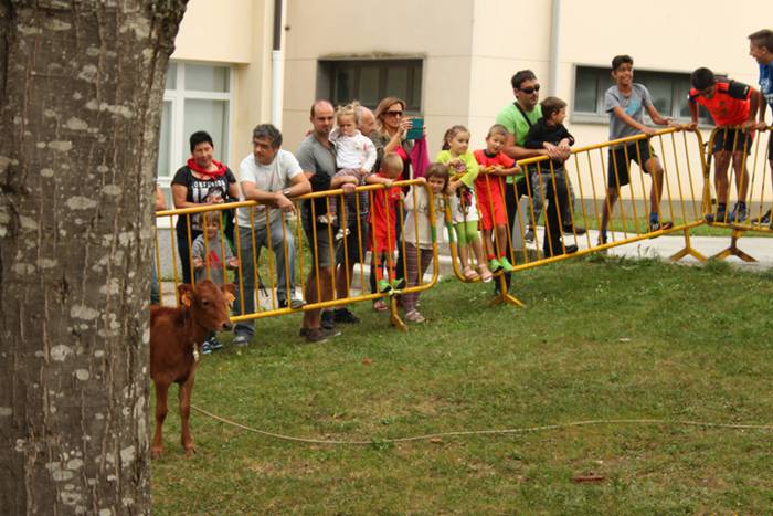 Ikaztegietako Jaiak 2017, um 11 1502457216339