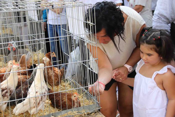 Inoiz baino bereziagoa 14 1568556711463