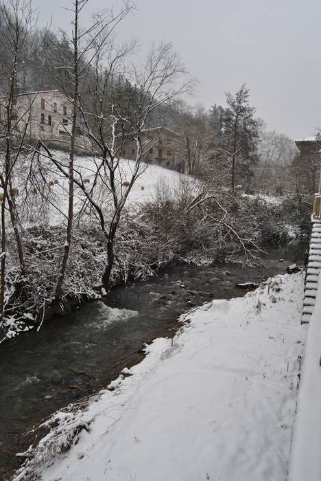 Argazki galeria: Tolosaldea, 10 1519809703225