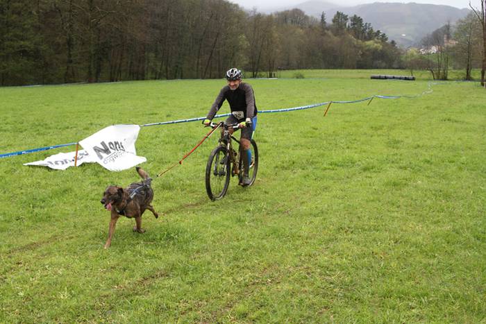 Zizurkil, txakur krosa 17 1490473894832