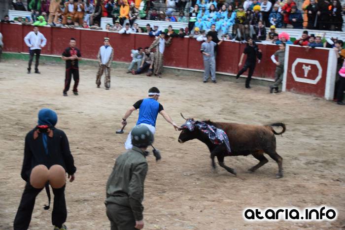 Pattar zezena 2016 6 1455012382690