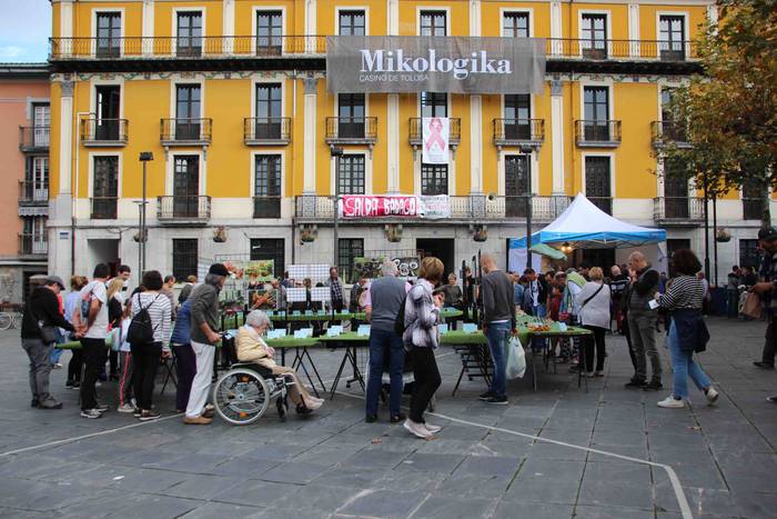 5.000 kilo txanpinoi saltsan 24 1571486541986