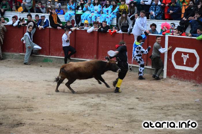 Pattar zezena 2016 15 1455012386493