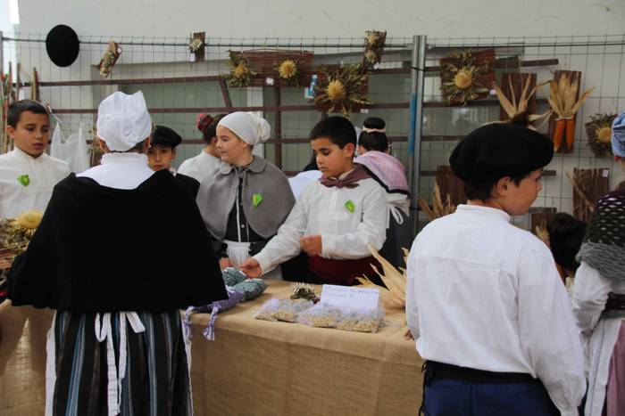 Auzolanaren fruitu, azoka 30 1541960940797