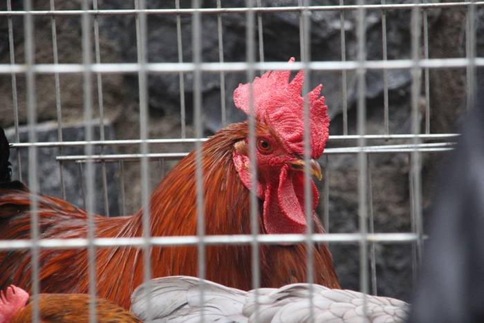 Inork ez du galdu nahi izan 25 1509293697011