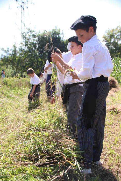 Garia bildu dute ogia egitek 34 1532422345881