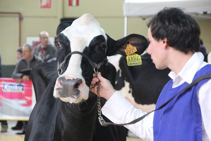 Frisoi Txapelketa 2015 3 1447530175782