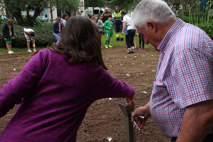 Aurtengoa, biolinak gozatua 23 1497265072554