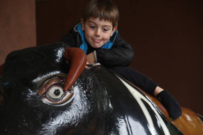 Euri langarrari, ajoarrieroa 10 1498914538953