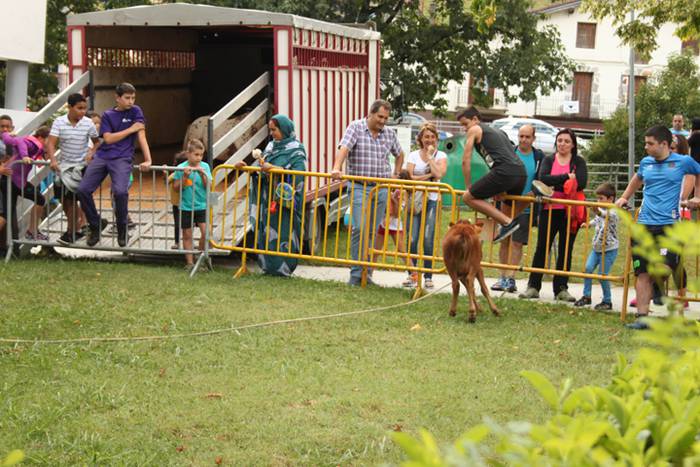 Ikaztegietako Jaiak 2017, um 7 1502457189790