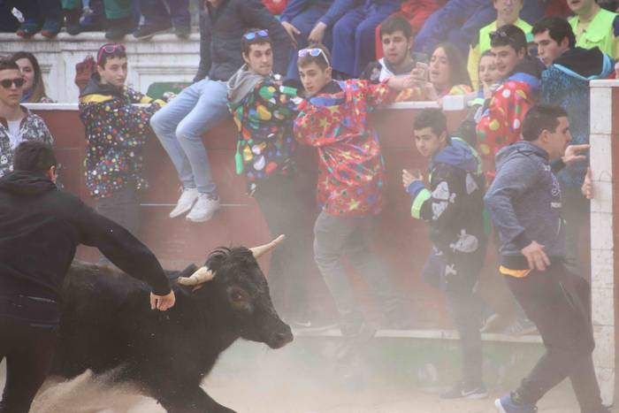 Lehenengo zezen festa, prime 20 1551374987134