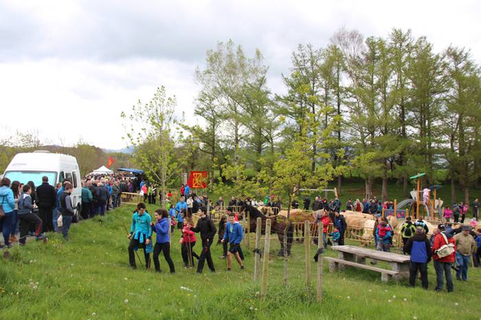 Aralarko larre irekiera 38 1462122135686