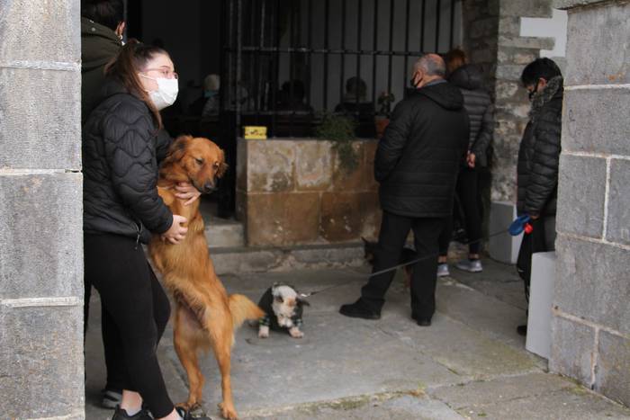 Animaliak bedeinkatu dituzte 3 1642416854496