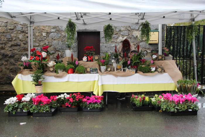 XXI. Azoka Berezia, Zizurkil 44 1539528172393