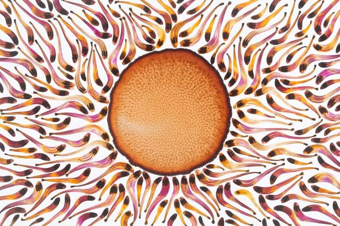 'Argizaiola' erakusketa ikusgai, Aranburu jauregian