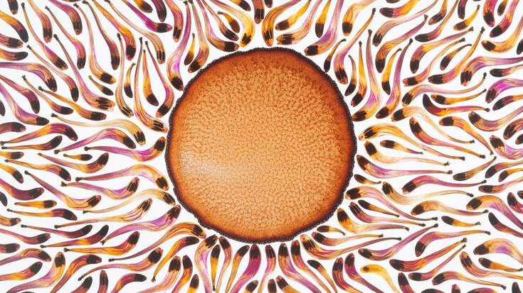 'Argizaiola' erakusketa ikusgai, Aranburu jauregian