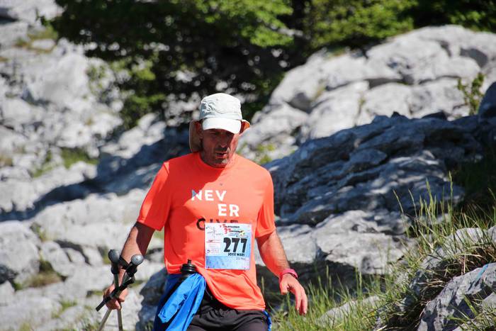 T3T, Hernio 2019 81 1560688446338