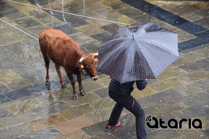 Inauteriak 2018, sokamuturra 17 1518437888770