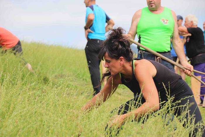 Erabaki dira Euskal Herriko  9 1532869723711