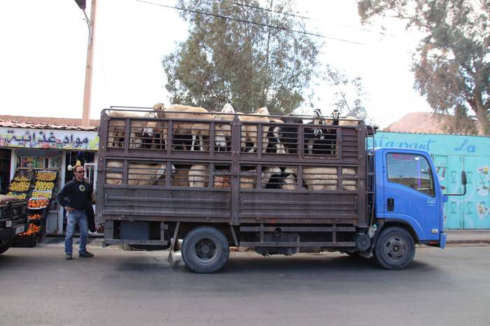 Tolosaldetik Saharako errefu 12 1638802287024