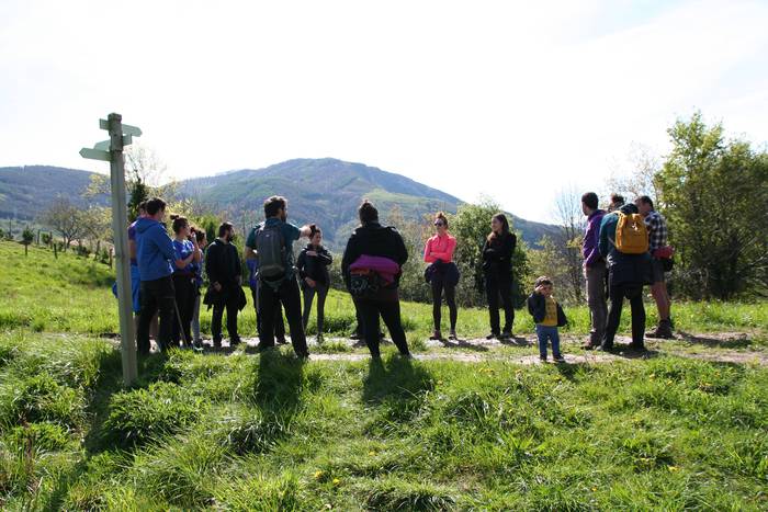 Basoari begira Anoetan 12 1554970859261