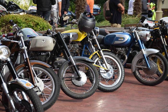 Motor eta errugbi zaleen bil 4 1535803260156