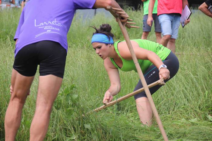 Erabaki dira Euskal Herriko  10 1532869738442