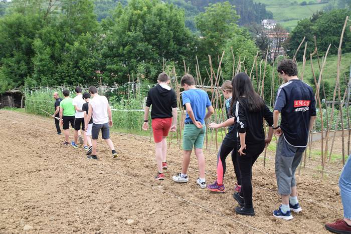 Ibarrako piperrak landatzen, 18 1527075706646