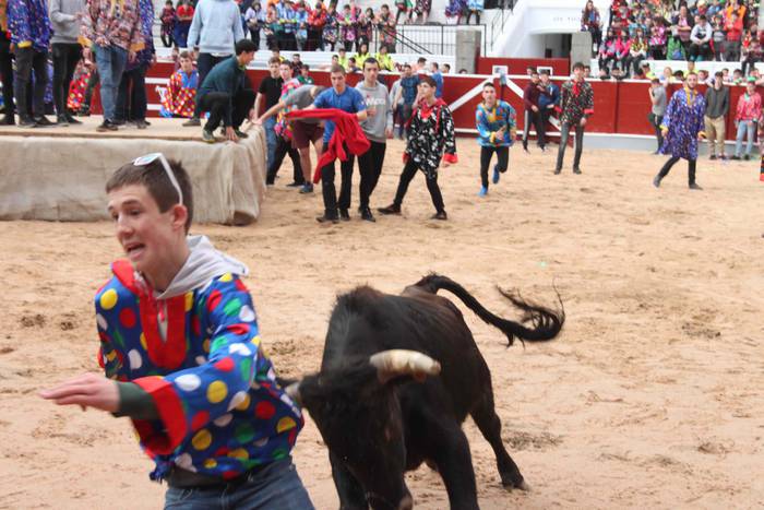 Inauteriak 2020, zezenak Ost 22 1582222551673