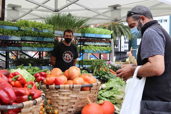 Ibarrako azoka bueltan da 35 1632048961209