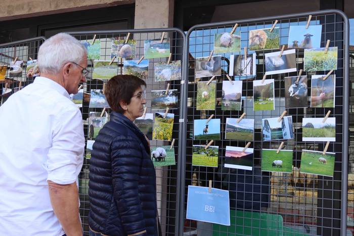 Sari guztiak banatu dituzte, 6 1667751713396