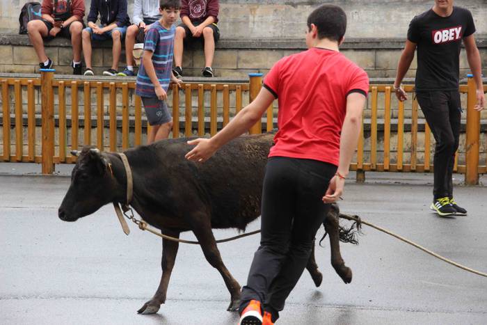 hernialde festak puzgarriak  35 1534160451480