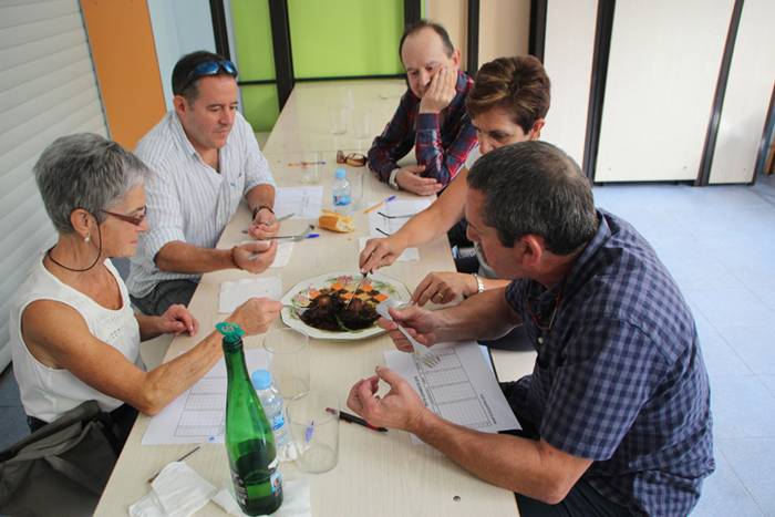 Irrintzi azoka berezia 2016 Villabona 10 1473514417404