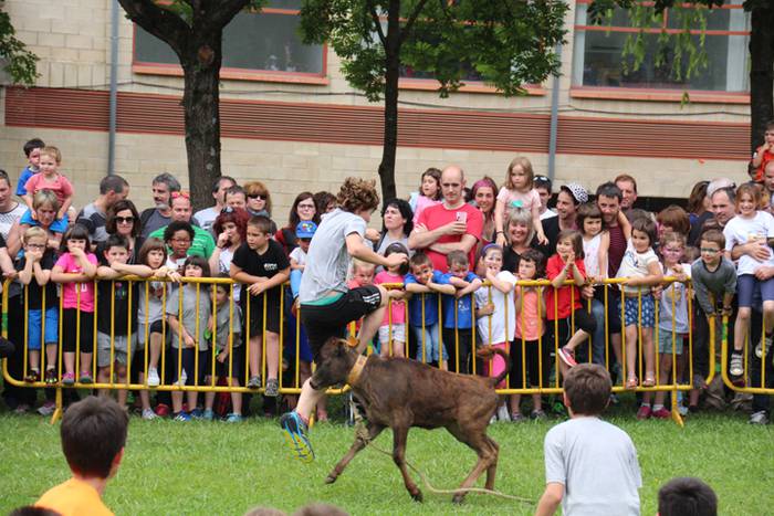 Eskola txiki eguna Ikaztegieta 70 1465750691968